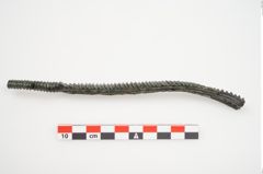 Foto von Bronzeraspel (NHMW-PRAE-025098)